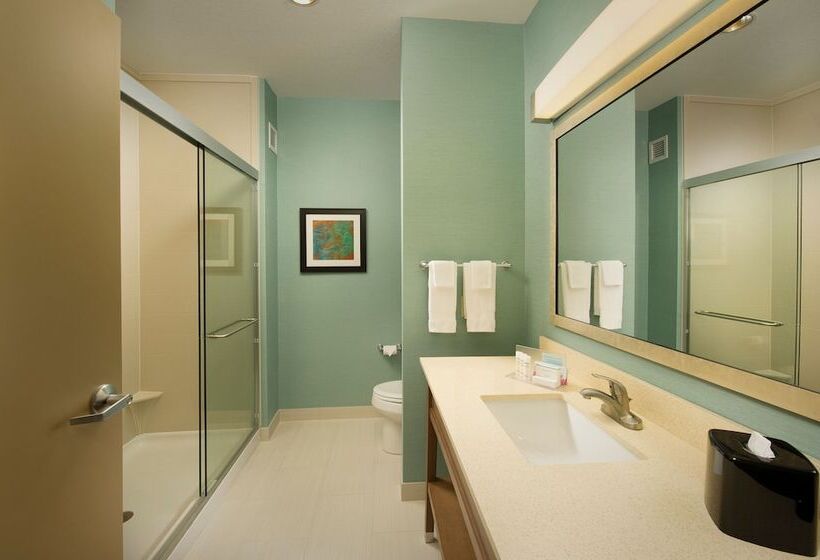 호텔 Hampton Inn Lake Charles