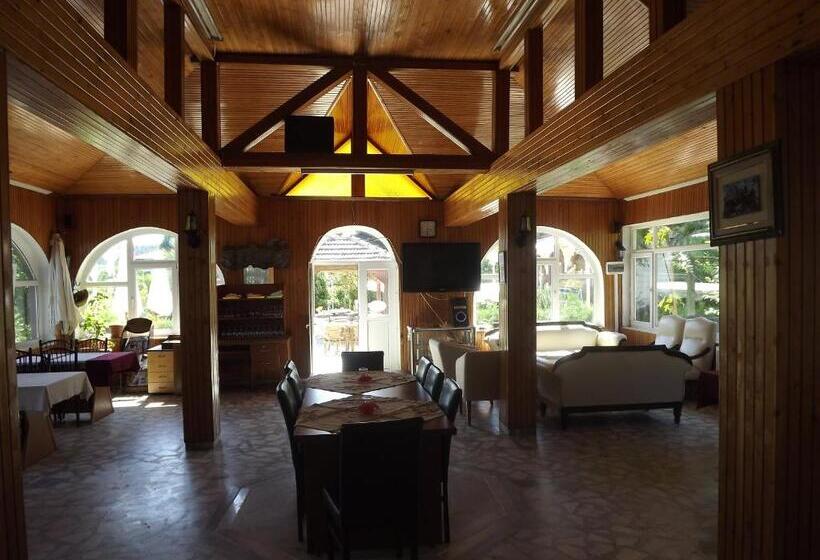 هتل Hamsilos Apart