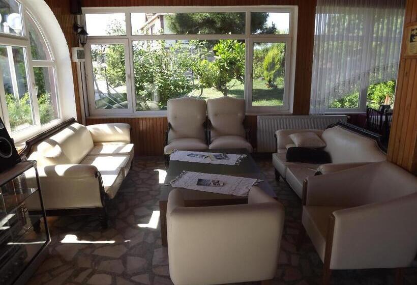 هتل Hamsilos Apart