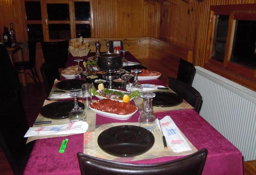 هتل Hamsilos Apart