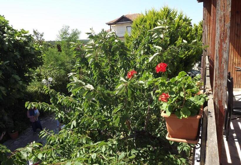 هتل Hamsilos Apart