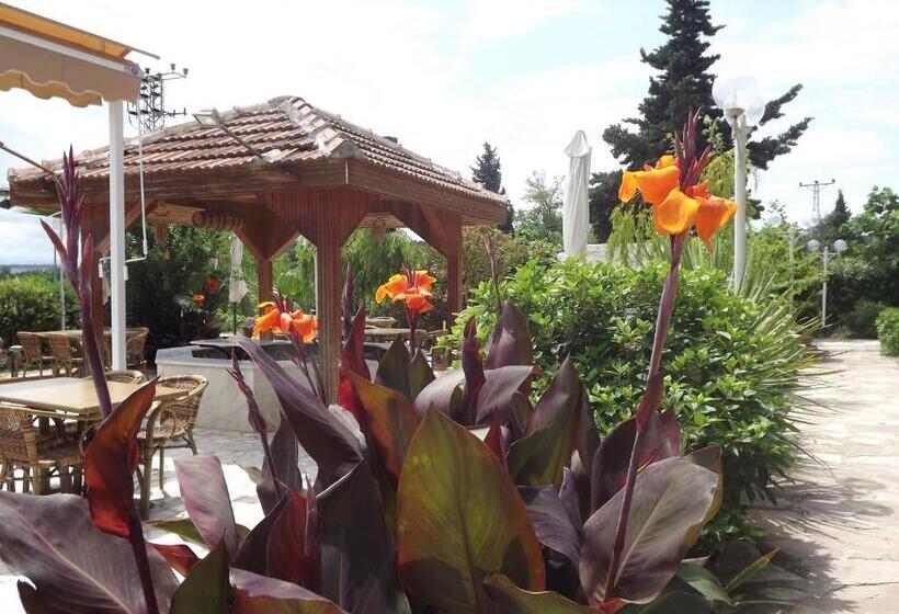 هتل Hamsilos Apart