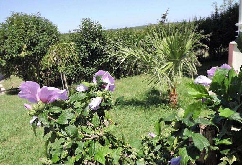 هتل Hamsilos Apart