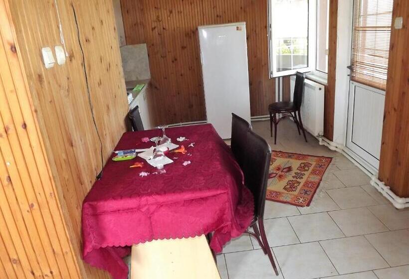 هتل Hamsilos Apart