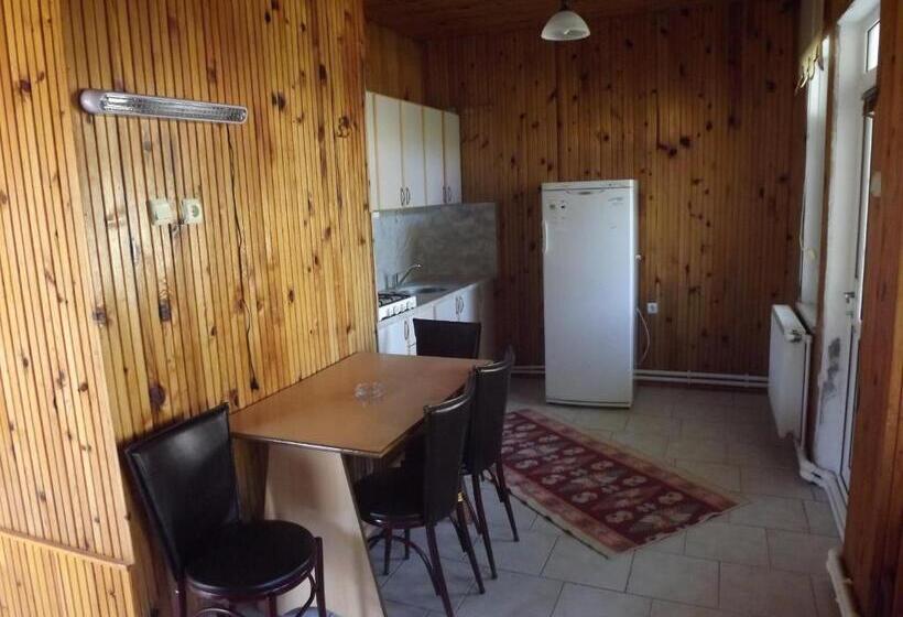 هتل Hamsilos Apart