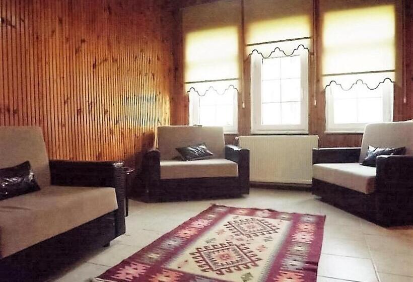 هتل Hamsilos Apart