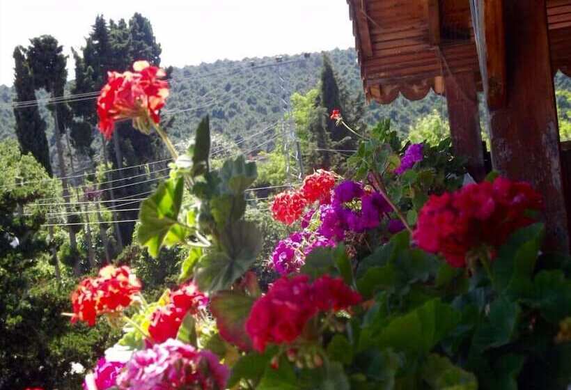 هتل Hamsilos Apart