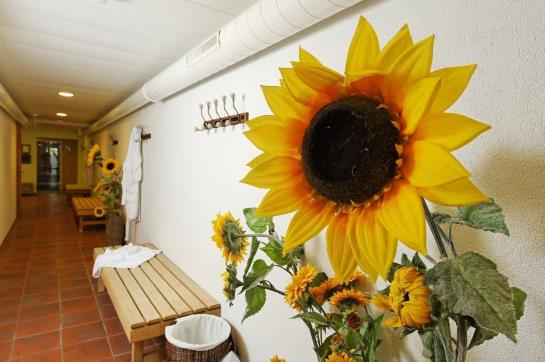 Hostellerie Am Schwarzsee