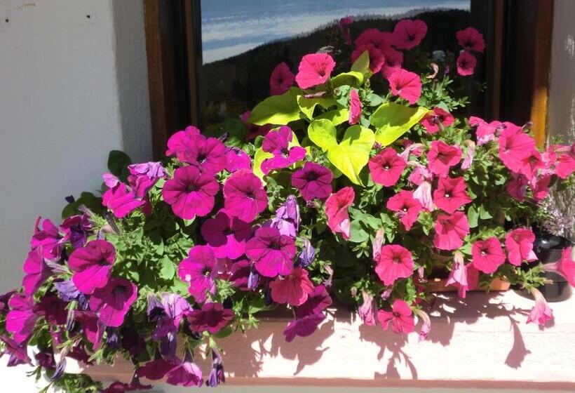 Отель Hôtel La Vallée