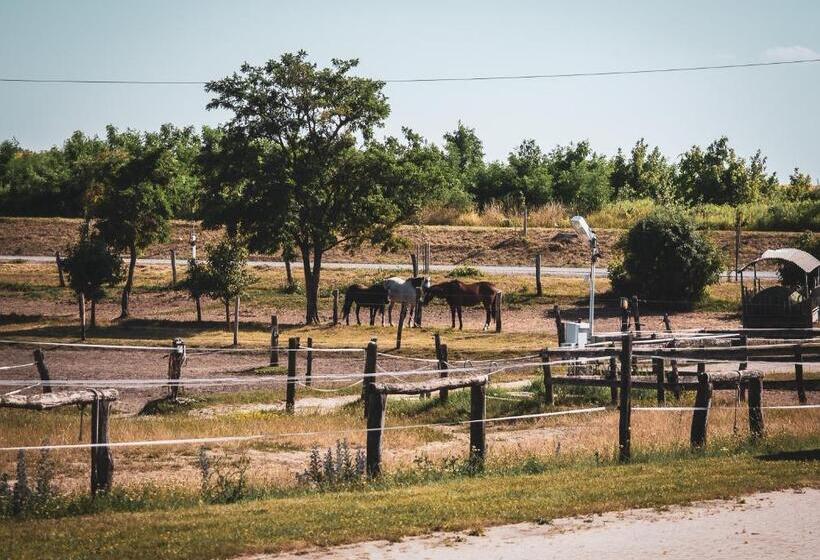 فندق Hétkúti Wellness