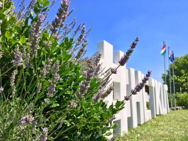 فندق Hétkúti Wellness