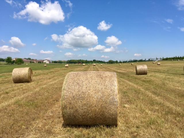 فندق Hétkúti Wellness