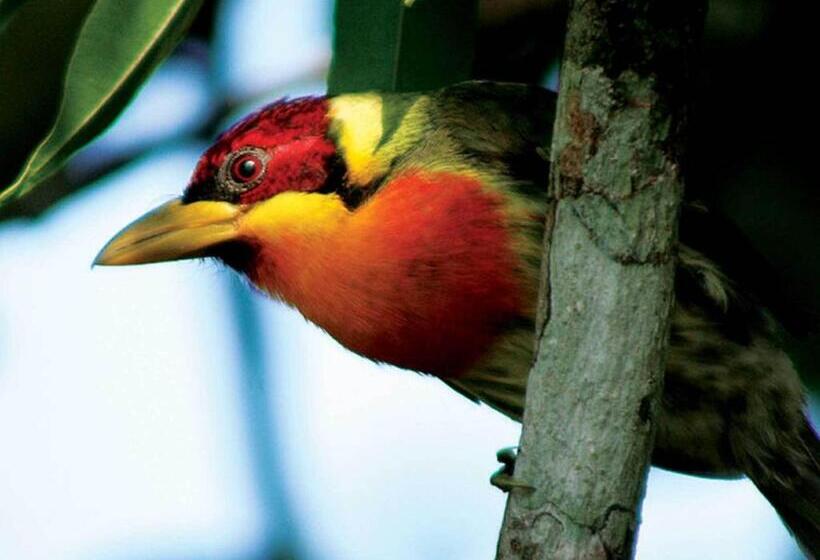 هتل Inkaterra Reserva Amazonica