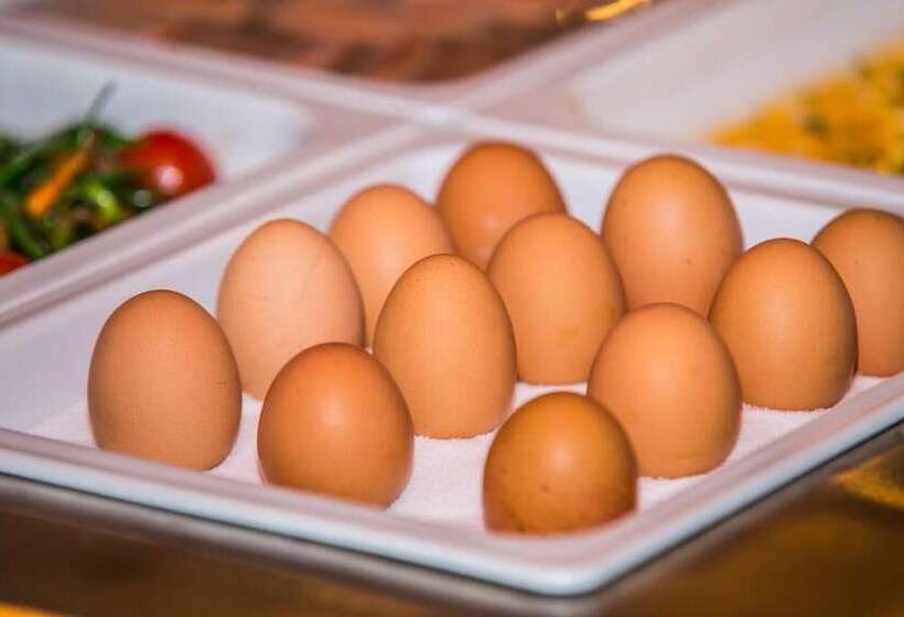 فندق Koliba Greta