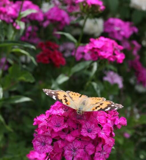 فندق élet Es Energia Egészségjavító Szalon