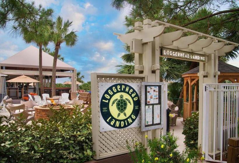 호텔 Marriott's Grande Ocean