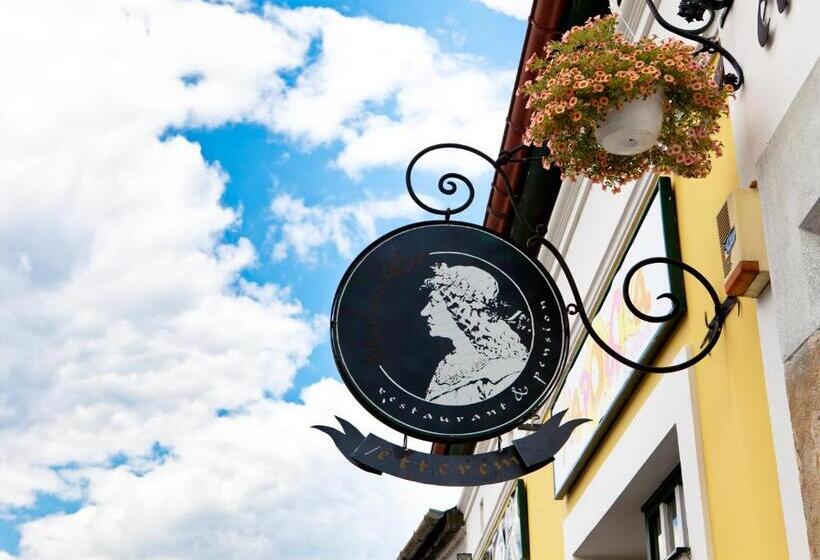 Отель Mathias Rex