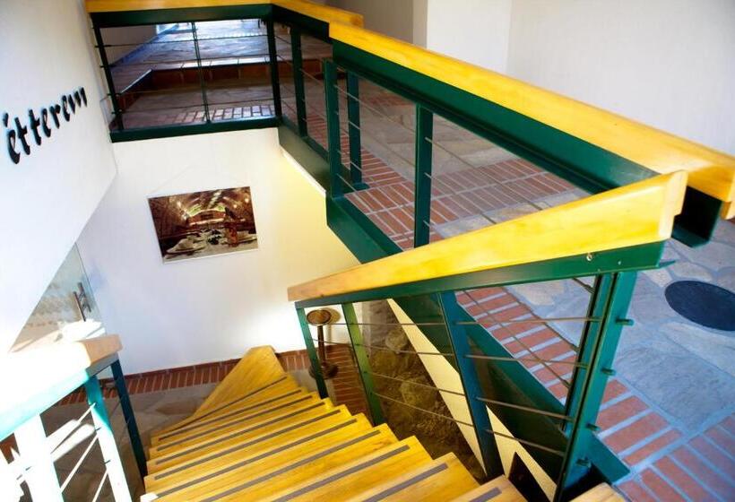 Отель Mathias Rex