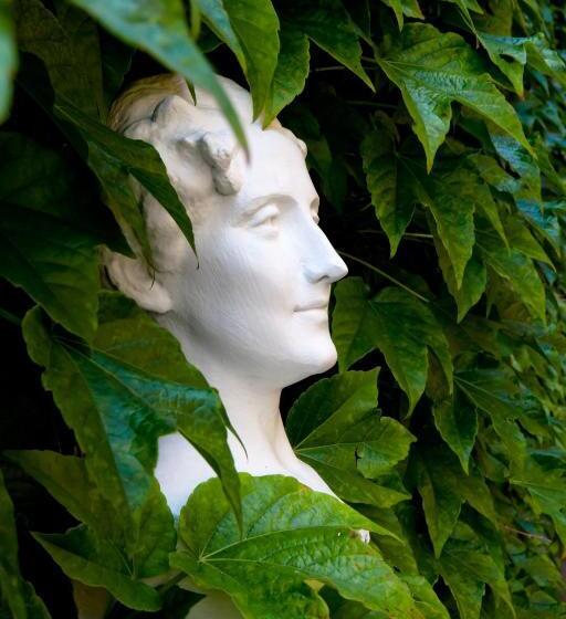 Отель Mathias Rex