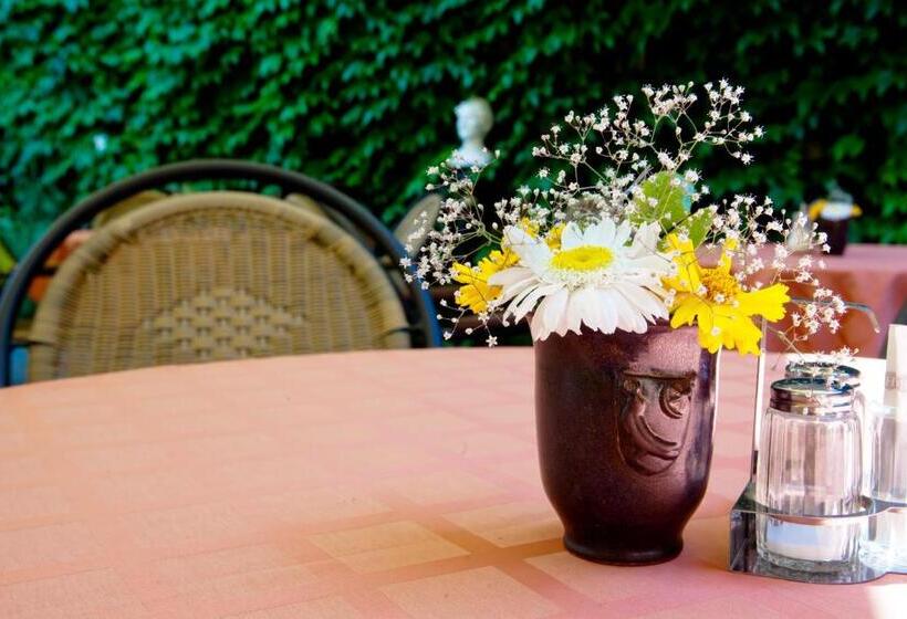 Отель Mathias Rex