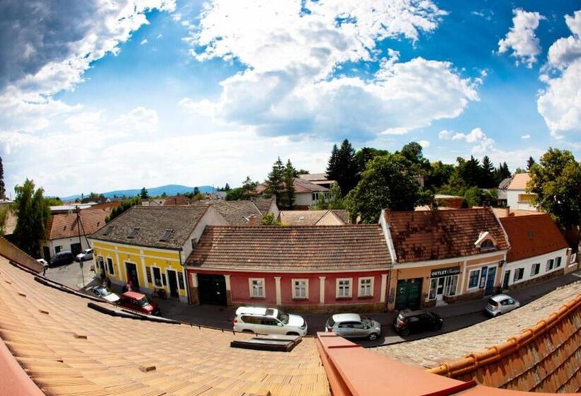 Отель Mathias Rex