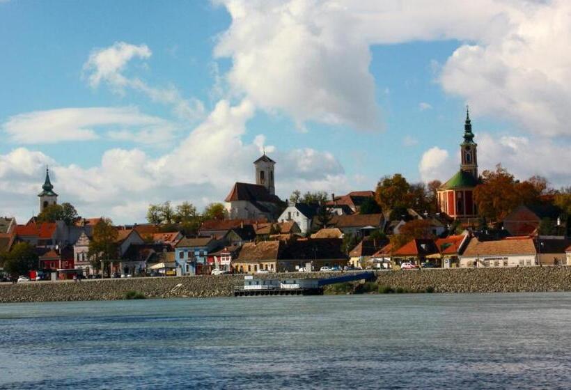 Отель Mathias Rex