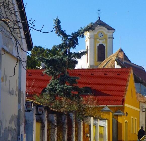 Отель Mathias Rex