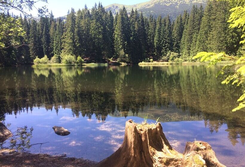 酒店 Mikulášska Chata