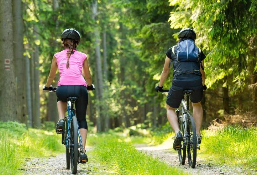 בית מלון כפרי Penzion Tematin