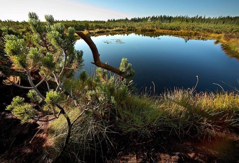 هتل Planja   Rogla