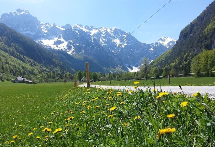 هتل Plesnik Logarska Dolina