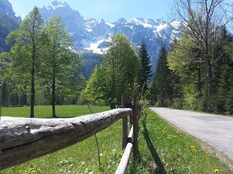 هتل Plesnik Logarska Dolina