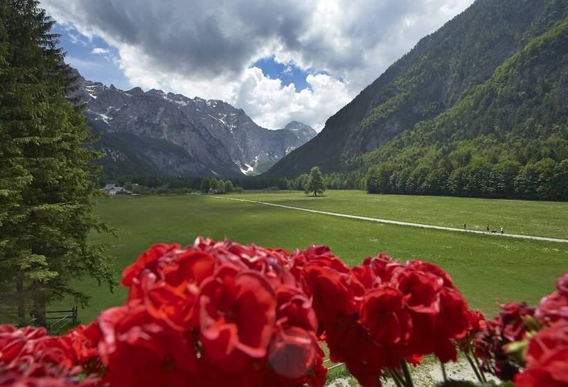هتل Plesnik Logarska Dolina