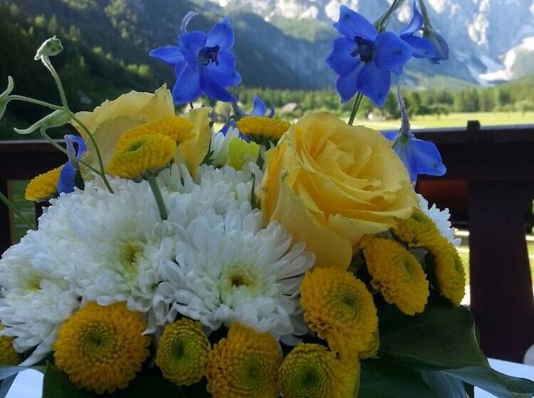 هتل Plesnik Logarska Dolina