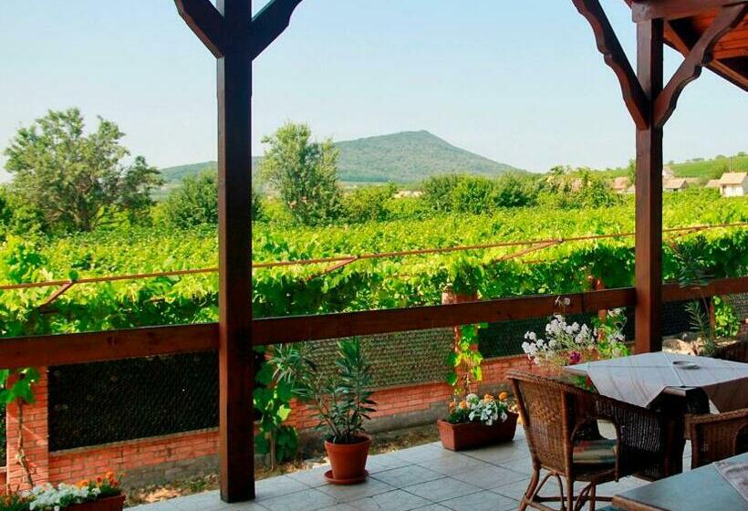 فندق Polgár Panzió