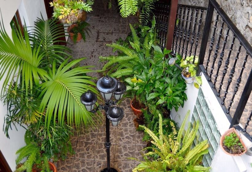 Сельский отель Rural Villa De Hermigua