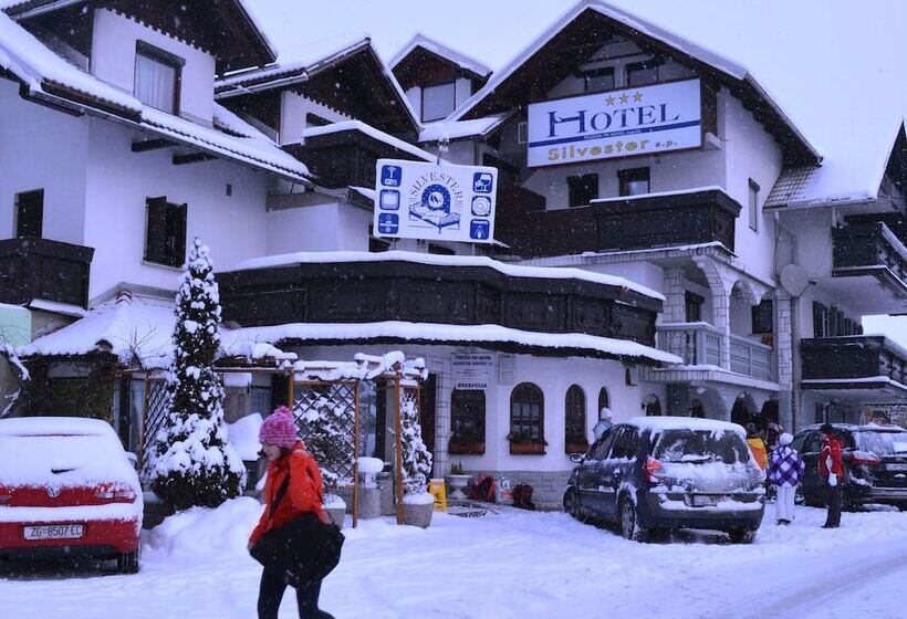 هتل Silvester