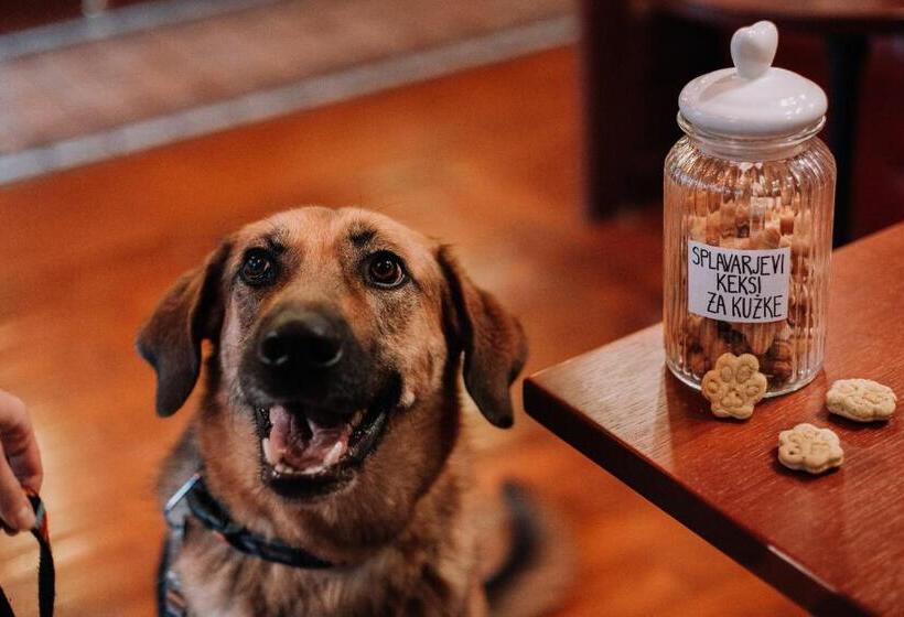 هتل Splavar Rooms