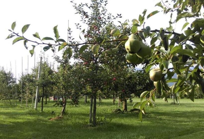 هتل Sport Manca Garni