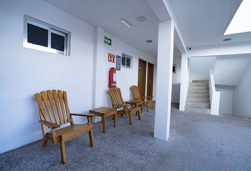 ホテル Star Manzanillo