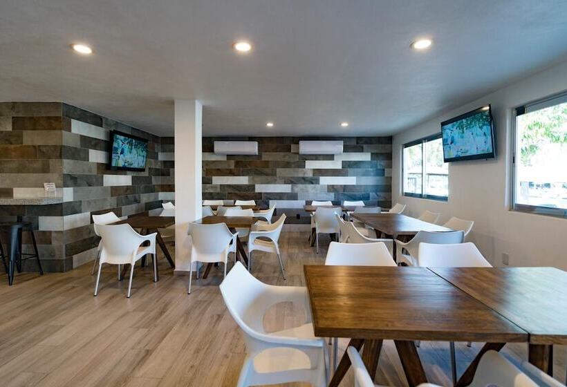 ホテル Star Manzanillo