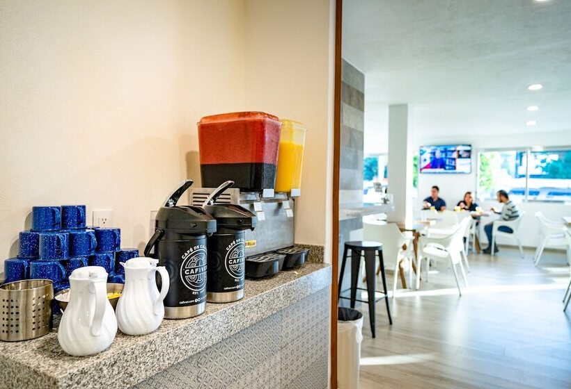 ホテル Star Manzanillo