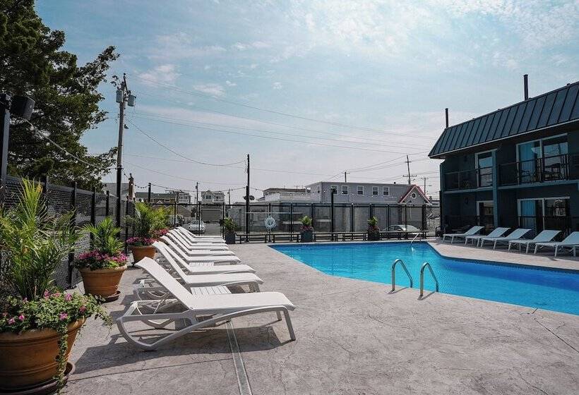 酒店 The Boulevard