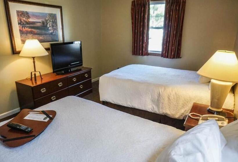 酒店 The Central Downtown Inn Suites