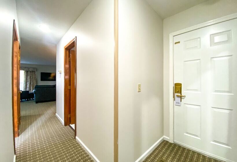 酒店 The Central Downtown Inn Suites