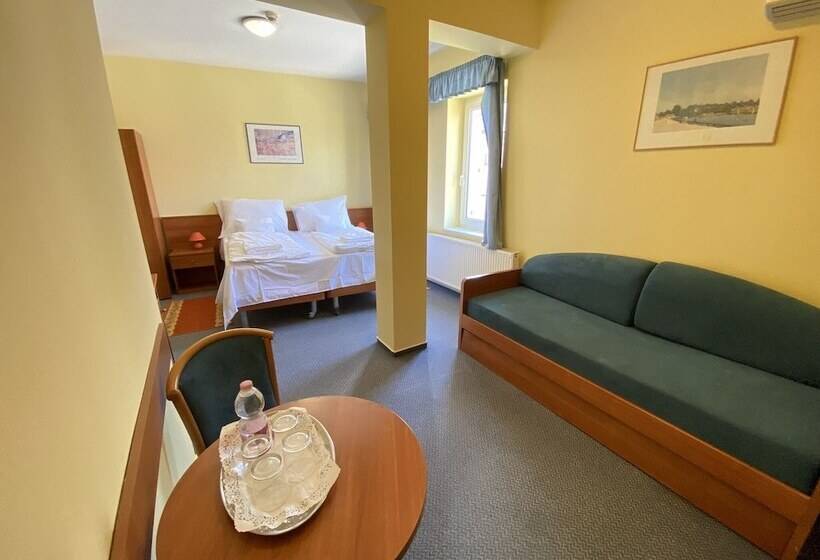 Отель Tisza Alfa