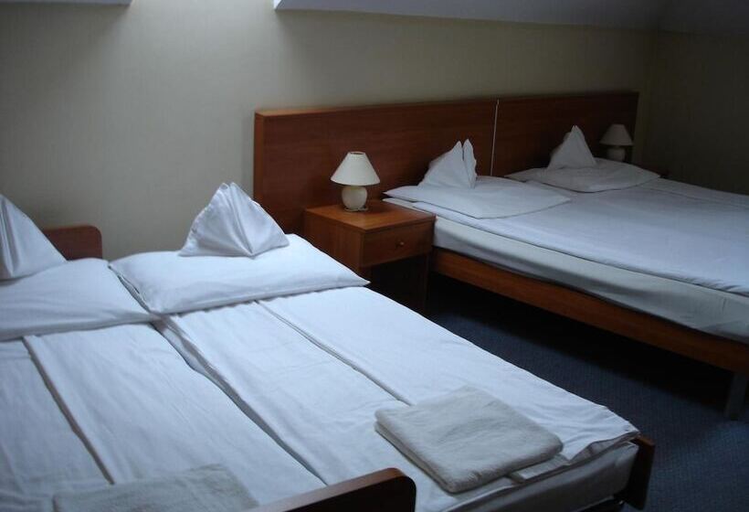 Отель Tisza Alfa