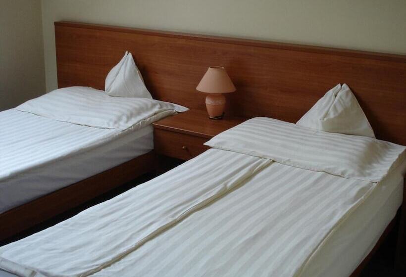 Отель Tisza Alfa