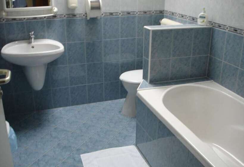 Отель Tisza Alfa