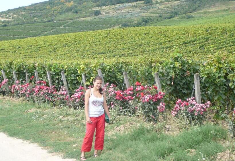 בית מלון כפרי Torkolat Panzió